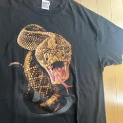 レア‼️ 00s WWF AUSTIN 3:16 スカル Tシャツ WWE - メルカリ