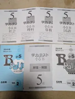 さくら様 リクエスト 2点 まとめ商品