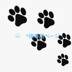 ⍨⃝ *様専用ページ