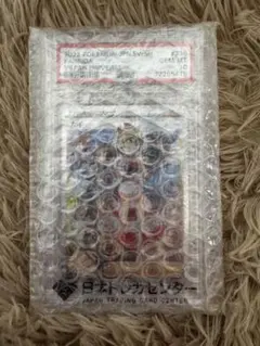 2026年最新】ポケカ カイsar psa10の人気アイテム - メルカリ