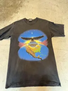 レア> 90s Earth Day レゲエイベントTee - メルカリ
