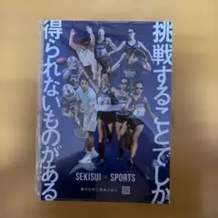 にじホロ交流戦 VIPルーム限定 サイン色紙 - メルカリ