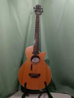 GrassRoots G-AC-BASS アコースティックベース