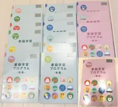 【伸芽会】家庭学習プログラム 年長12冊セット おまけ年中4冊セット 外箱付き 2026年最新】伸芽会 家庭学習プログラムの人気アイテム - メルカリ