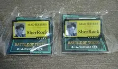 BOT 片寄涼太　ネームバッジ　2点セット