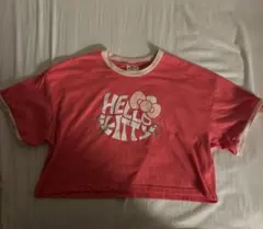 Hello Kitty 半袖Tシャツ ピンク Lサイズ