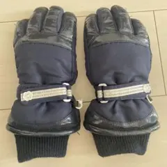 スキーグローブ 140