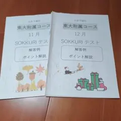 大原予備校 東大附属 SOKKURIテスト