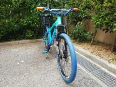 ジャイアントSTP1 ストリートカスタム 2025年最新】giant stpの人気アイテム - メルカリ