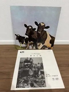 Item thumbnail for item ef84e35d-fd2f-4cad-9f66-352002598c8f