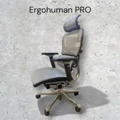 【美品】ErgohumanPRO エルゴヒューマンプロ グレー ヘッドレスト付②