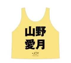 山野愛月 ビブス 2023 フリーサイズ ニアジョイ ≒JOY 初期ビブス