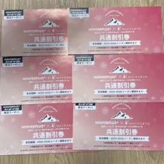 WINTERPLUS × MACEARTH 共通割引券