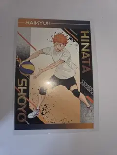 ハイキュー!! 日向翔陽 ポストカード