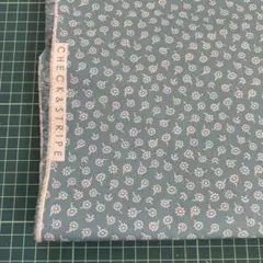 チェックアンドストライプ