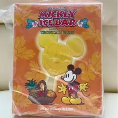 ディズニー リゾート スーベニア ミッキー アイスバー