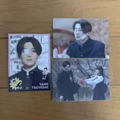 2025年最新】矢野くんの普通の日々 フォトカ シークレットの人気