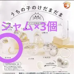 正規品 うちの子のけだまだま シャム3個セット ガチャ