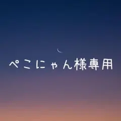 ぺこにゃん様 リクエスト 4点 まとめ商品