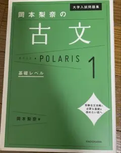 岡本梨奈の古文ポラリス