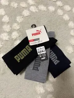 Item thumbnail for item 22073a9d-0eb1-46bf-9444-276fdaa3da90