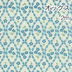 2m ネモフィラ2 ベージュ オックス