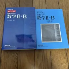 Item thumbnail for item e4869344-104f-4661-9ebd-5f82d5be93cd