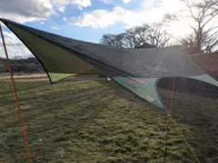 Item thumbnail for item d5a57ea1-a6bb-431c-91cf-dca29ee178fc