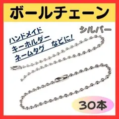 チェーン 30本 手芸 12cm キーホルダー ハンドメイド 手作り ネームタグ