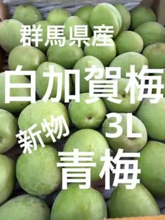 22.青梅3L 白加賀梅 加工用のサムネイル