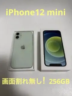 【美品256GB 】Apple iPhone 12mini ★箱付き★