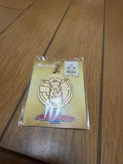 名鉄 ポケモン メガスタンプラリー2025メダルキーホルダー ピカチュウ