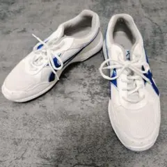 Item thumbnail for item 8b4543b3-6146-4990-801a-c310b82c3918