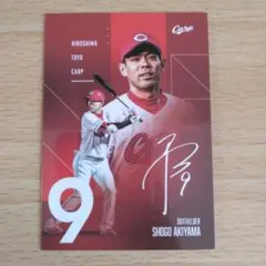 2026年最新】秋山翔吾サインの人気アイテム - メルカリ