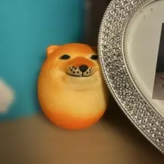 シバコスクイーズ