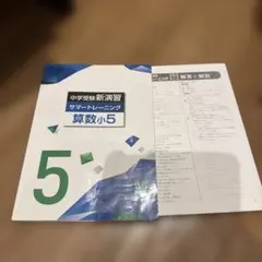 中学受験新演習 サマートレーニング 算数小5のサムネイル