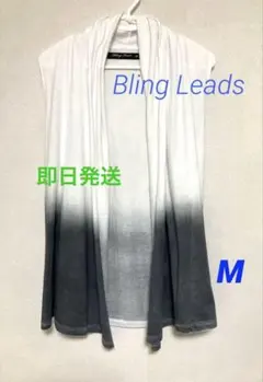 Bling Leads グラデーション　ジレ　Mサイズ　美品　即日発送