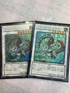 ナチュルパルキオン