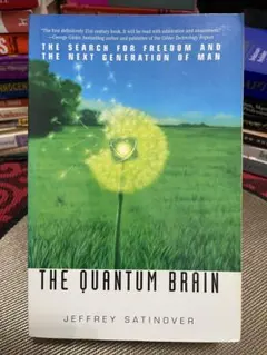 THE QUANTUM BRAIN by JEFFREY SATINOVER