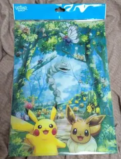 ポケパークカントー】 クリアファイル 2枚組ブイブイヴォヤージュ