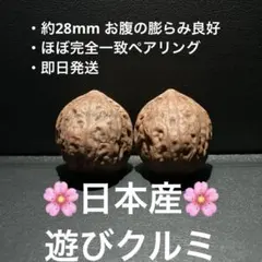 2026年最新】文玩核桃の人気アイテム - メルカリ