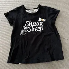 ひつじのショーン　Tシャツ　90 しまむら