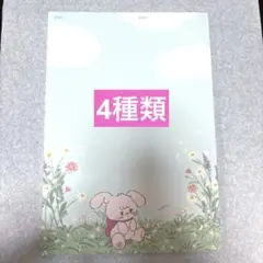 便箋 mikko みっこ キャミー ラテ ムース スフレ