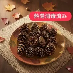 松ぼっくり インテリア