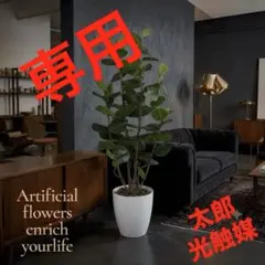 光触媒　人工観葉植物　ウォールグリーン　フェイクグリーン　シーグレープ17のサムネイル