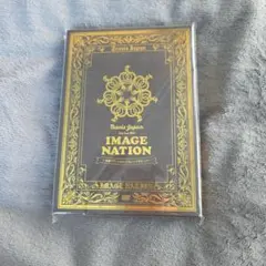 Travis Japan IMAGE NATION DVD