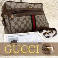 鑑定書付き 紙タグ グッチ GG 金具 レザー ショルダーバッグ シェリーライン