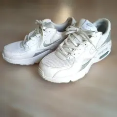 Nike Air Max エクシー ホワイト/グレー スニーカー