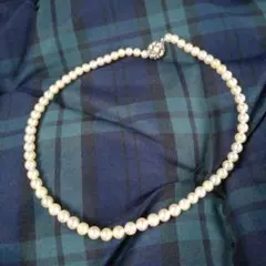 Item thumbnail for item 42b4ff72-8d9c-491c-8141-7e6014a1b4d1