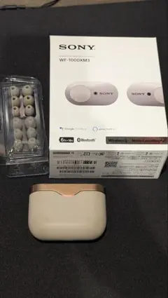 SONY ワイヤレスイヤホン WF-1000XM3
